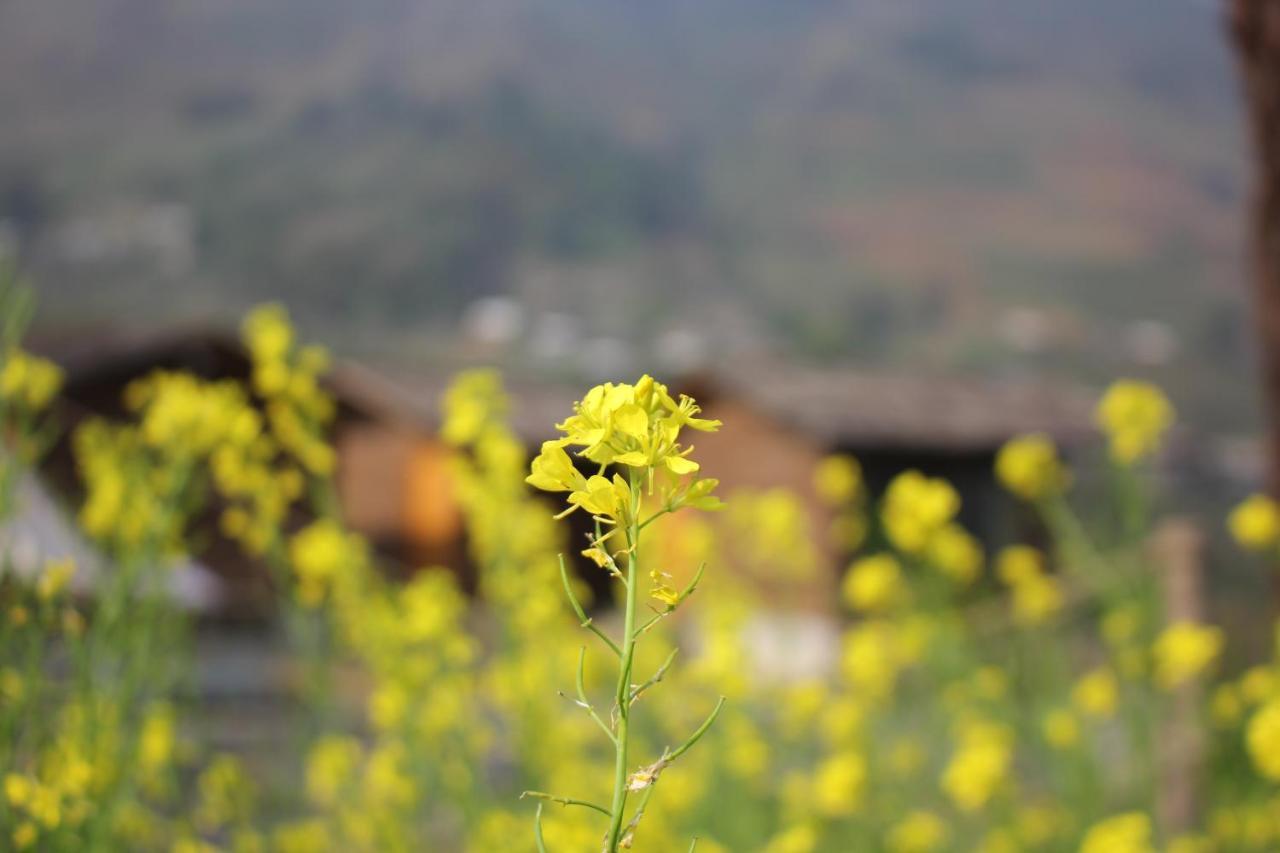 S Plus Bungalow Sapa Bagian luar foto